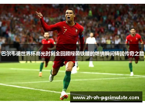 巴尔韦德世界杯高光时刻全回顾绿茵铁腰的燃情瞬间铸就传奇之路
